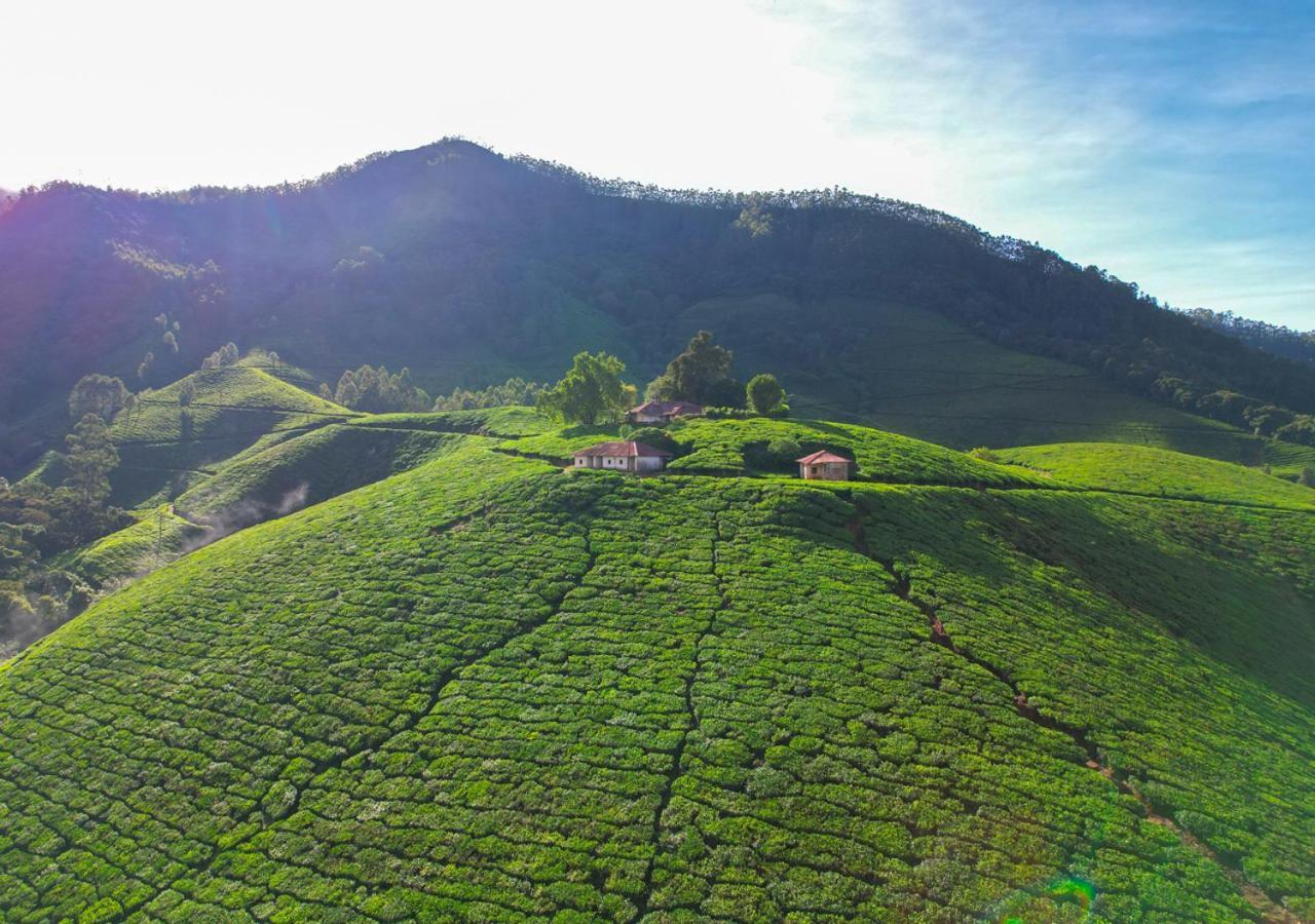 Arivikad Tea Bungalow Munnar By Voye Homes Suryanelli Eksteriør billede