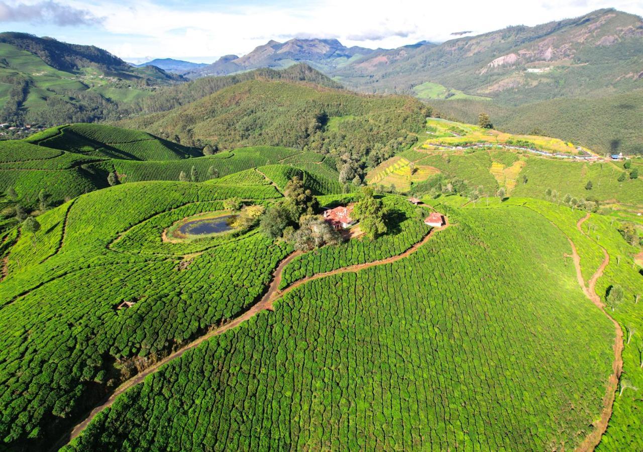 Arivikad Tea Bungalow Munnar By Voye Homes Suryanelli Eksteriør billede