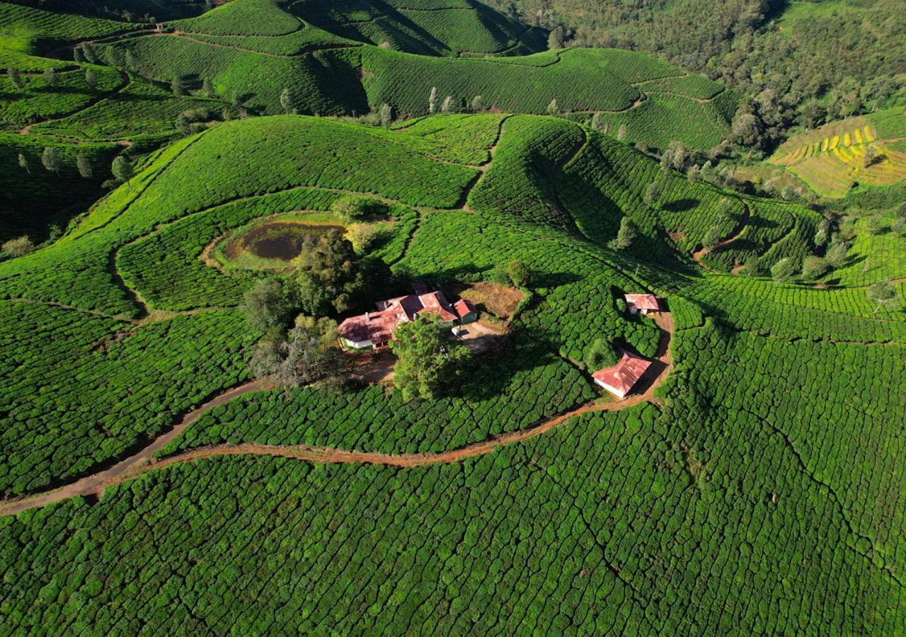 Arivikad Tea Bungalow Munnar By Voye Homes Suryanelli Eksteriør billede