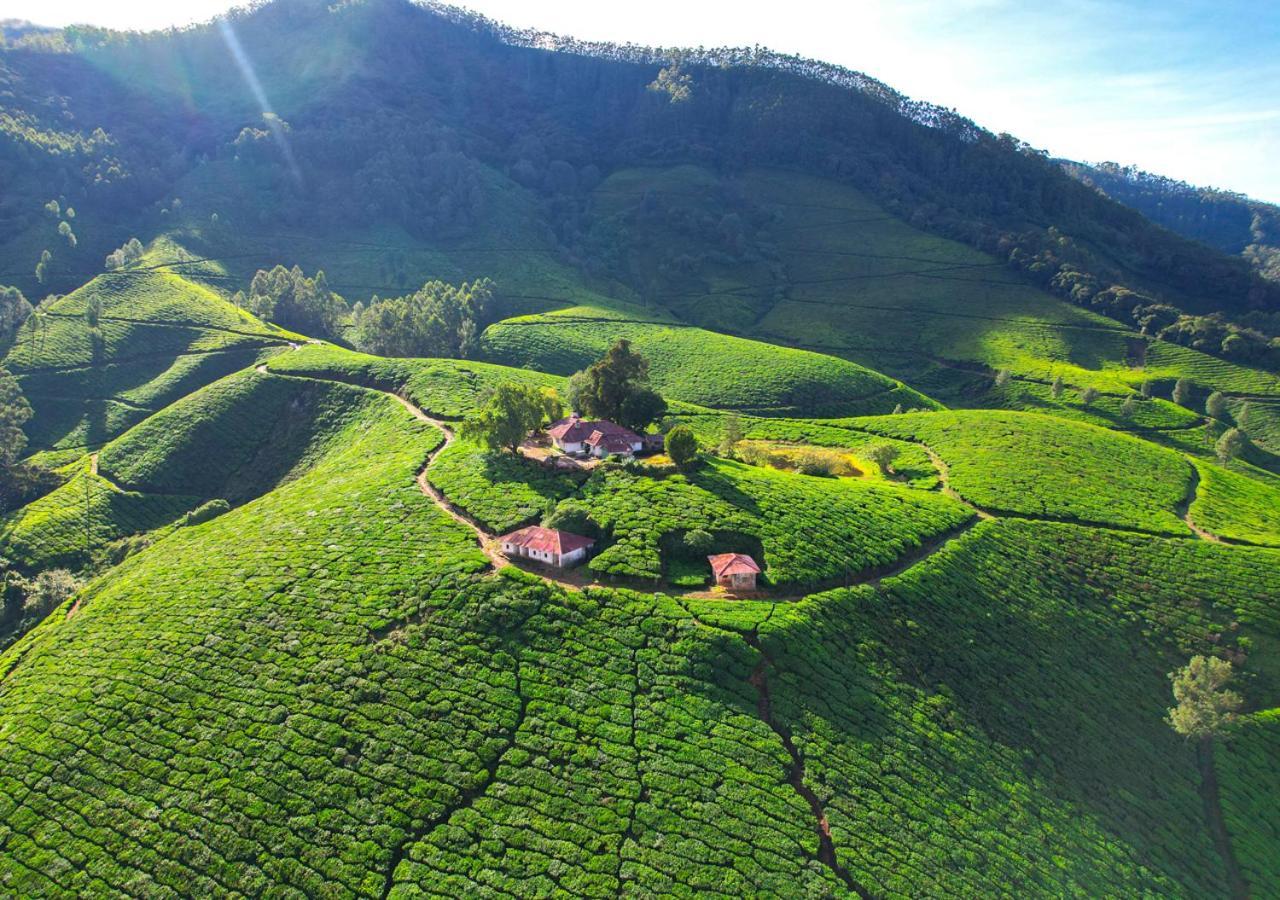 Arivikad Tea Bungalow Munnar By Voye Homes Suryanelli Eksteriør billede