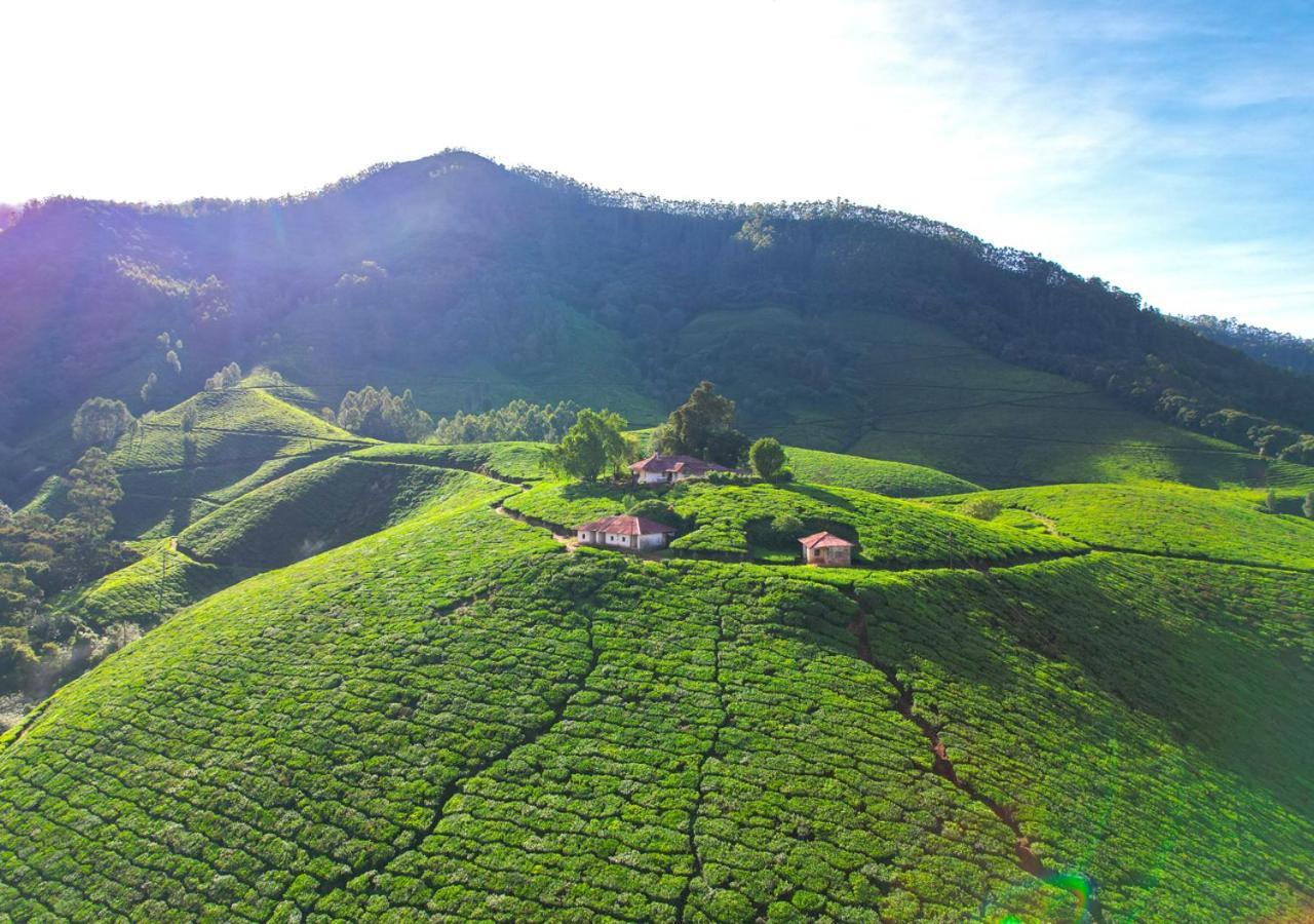 Arivikad Tea Bungalow Munnar By Voye Homes Suryanelli Eksteriør billede