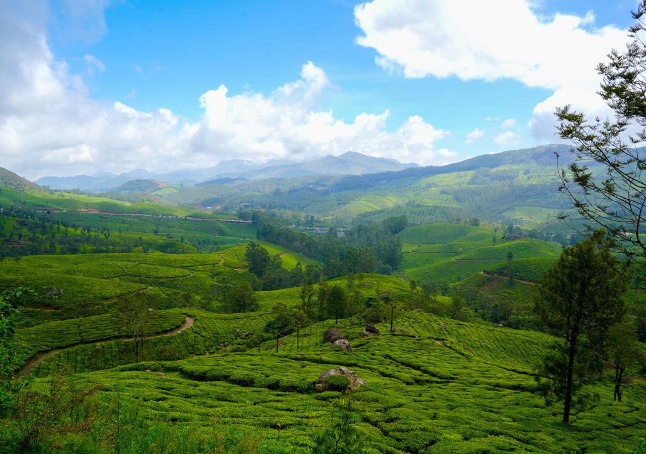 Arivikad Tea Bungalow Munnar By Voye Homes Suryanelli Eksteriør billede