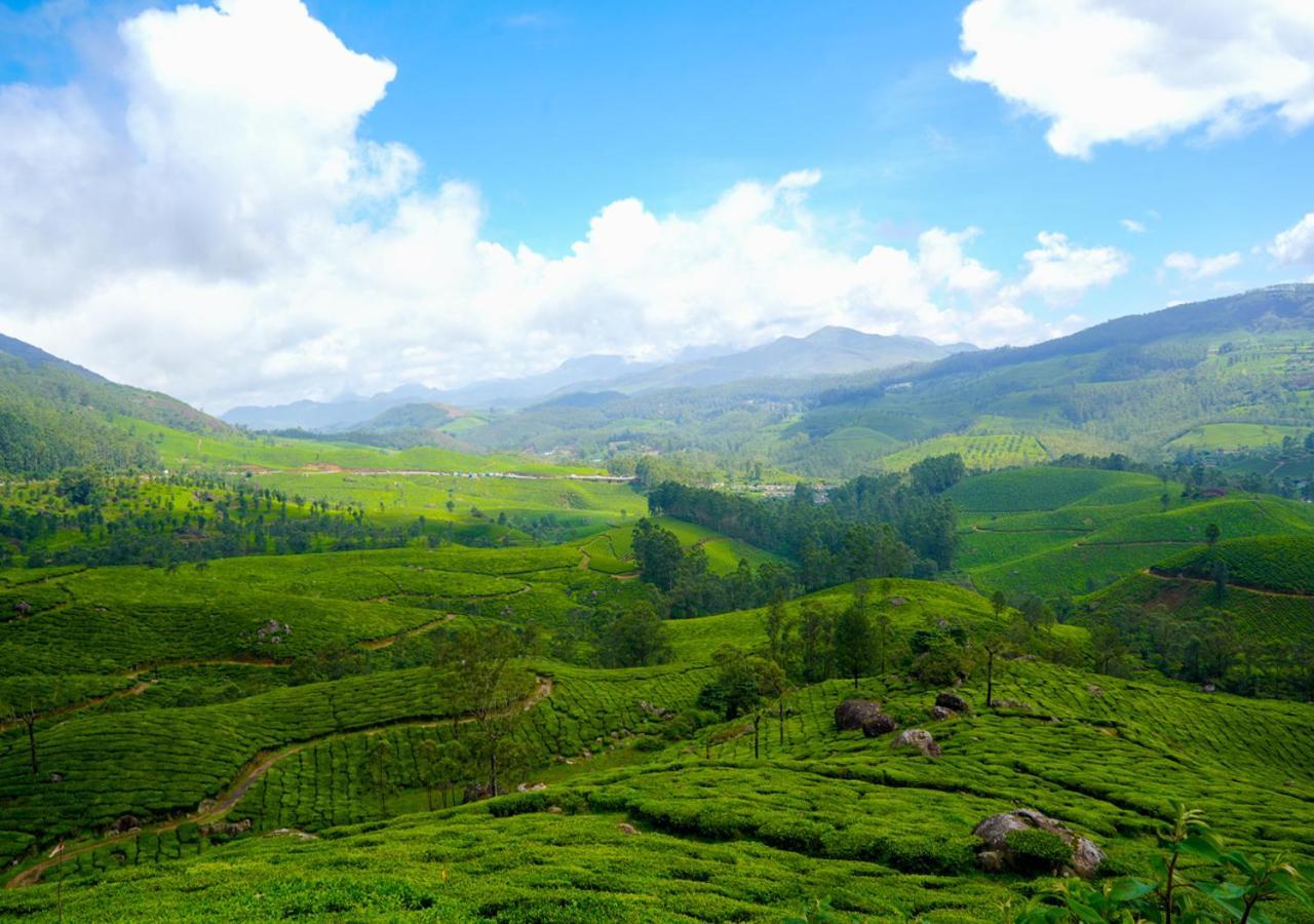 Arivikad Tea Bungalow Munnar By Voye Homes Suryanelli Eksteriør billede